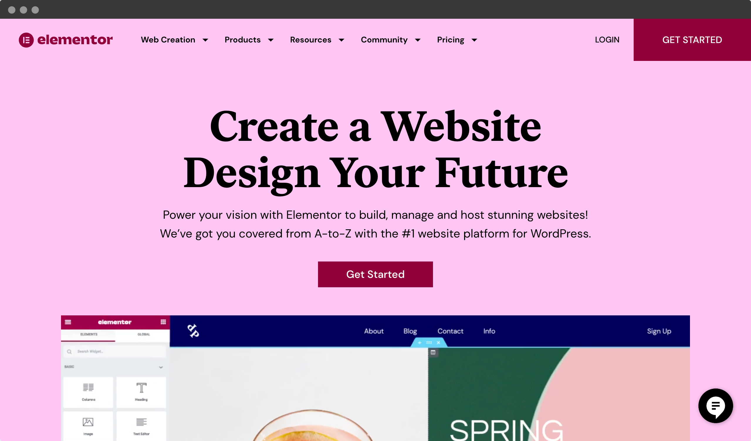 Screenshot of Elementor website - Page Builder for WordPress