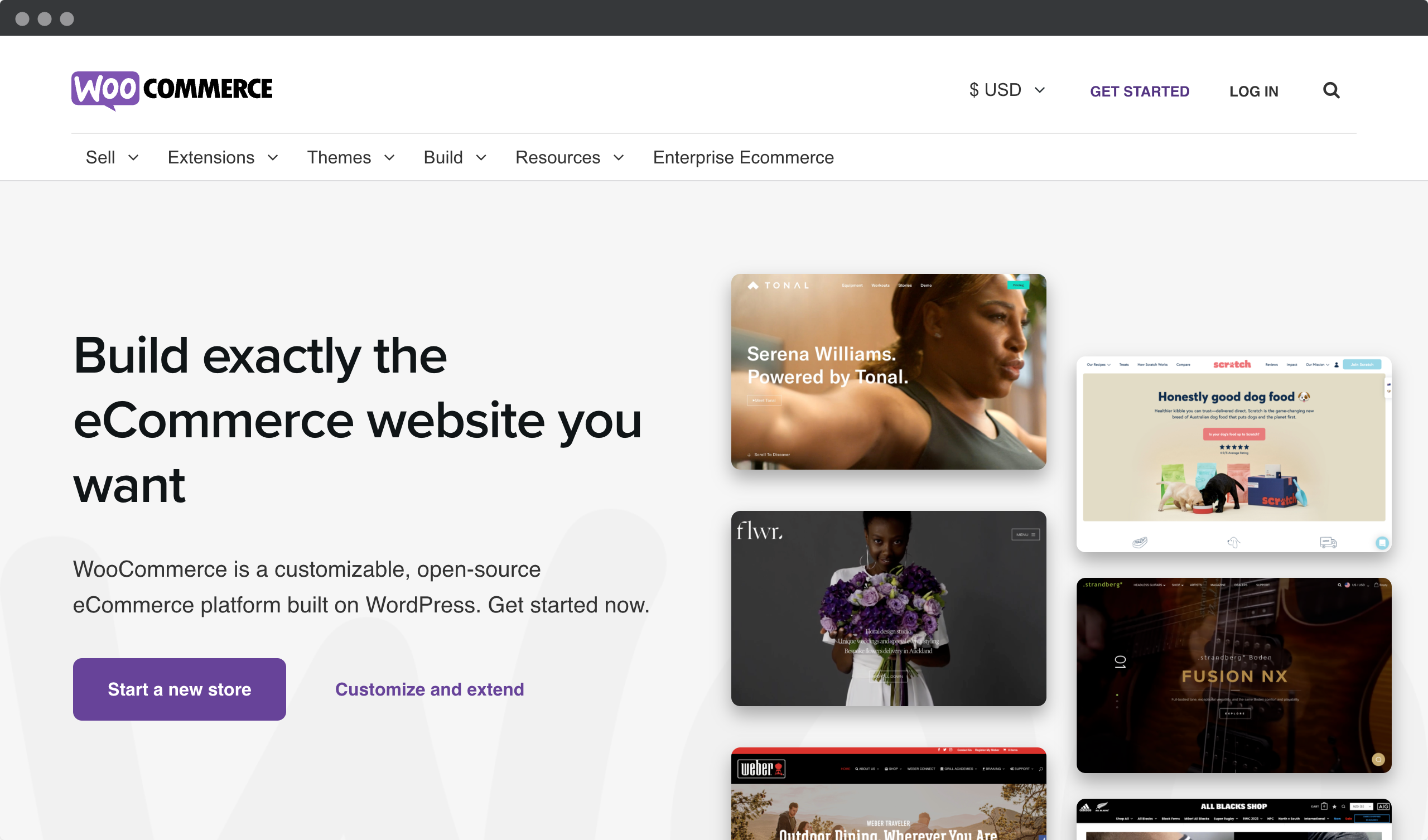 Screenshot homepage of the WooCommerce platform